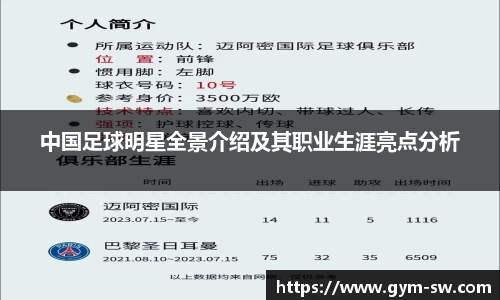 中国足球明星全景介绍及其职业生涯亮点分析